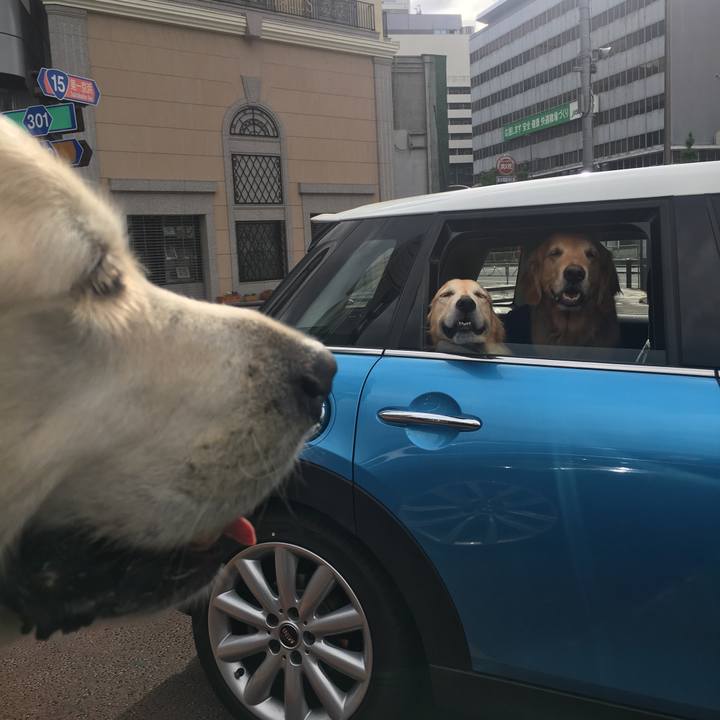 3548af70 e1b3 48ab 98c6 fc19d0973288