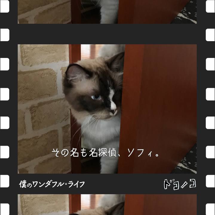 3549530a d07a 4cac 8724 c3d69dfb2a37