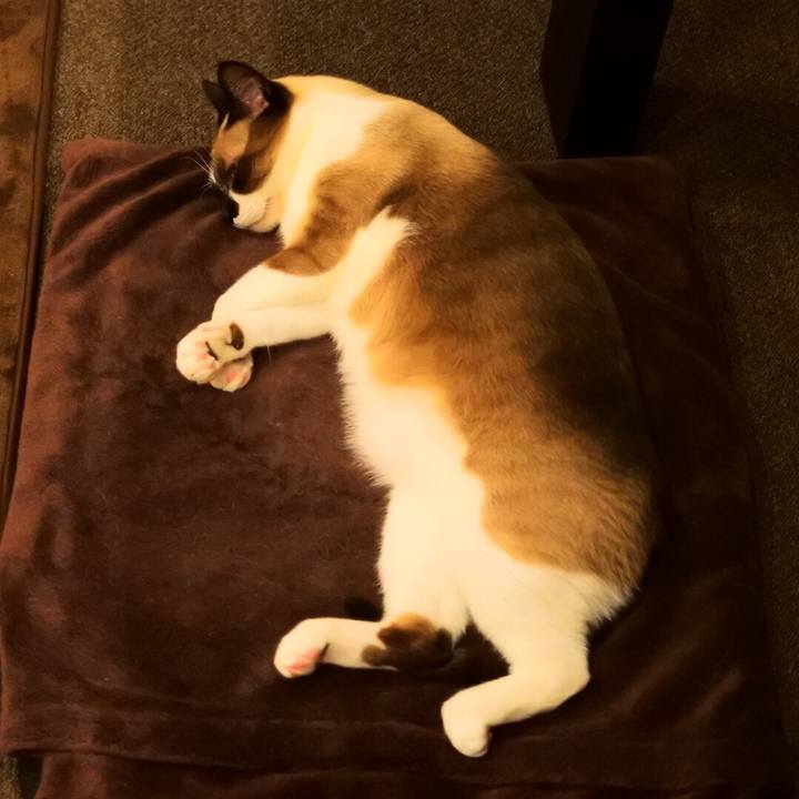 354969df d0ec 4c62 9f1b 9debfd7a27d8