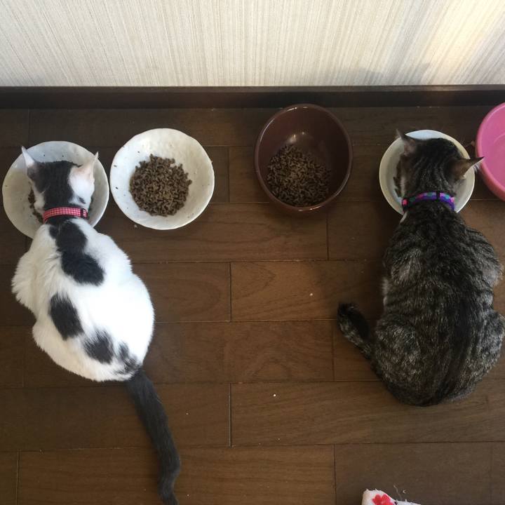 354dced9 9482 4437 8038 1bb32e7f9b87