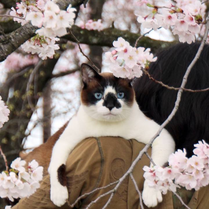 354dedcb c553 4dfd 9c3f adbb611c0317