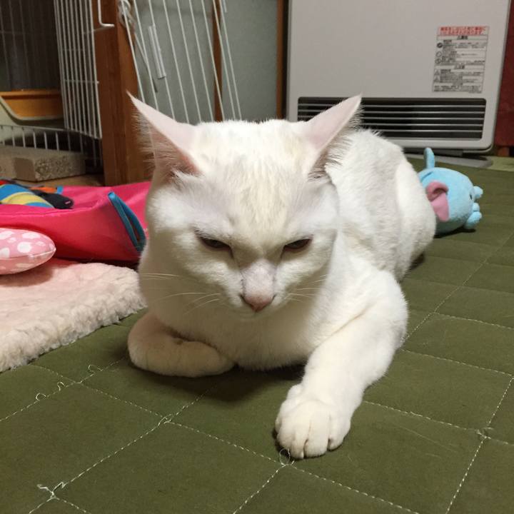 354e6896 8af9 4d69 a5f3 a577cc3cf3e5