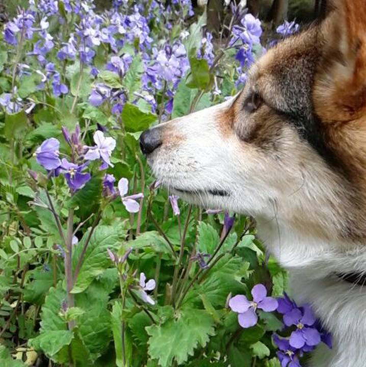 354f4b06 949d 4b06 b977 d32d55c4d82a