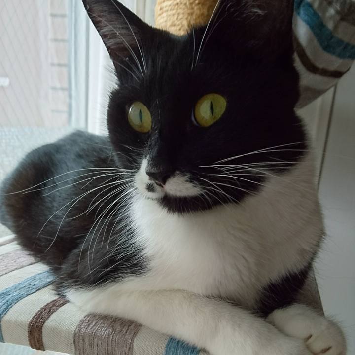 354fa3fe 033e 4fc5 9858 50b4471eb83d