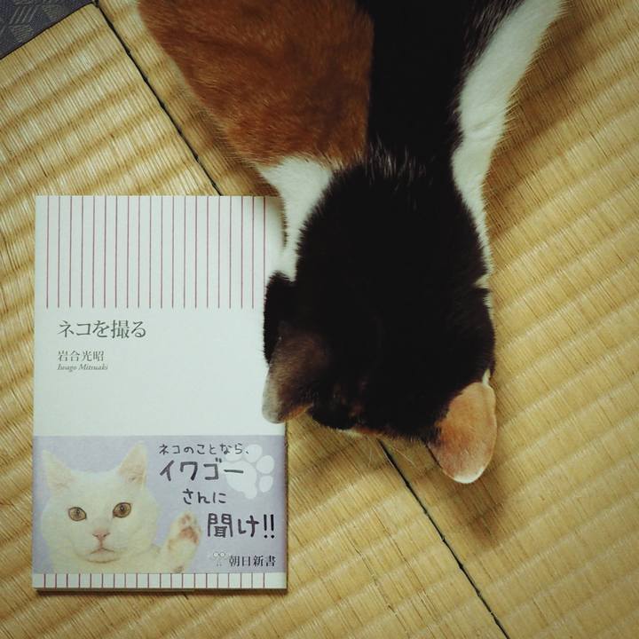 354ff2cc d39d 47e8 9ebc e3e9668b82a8