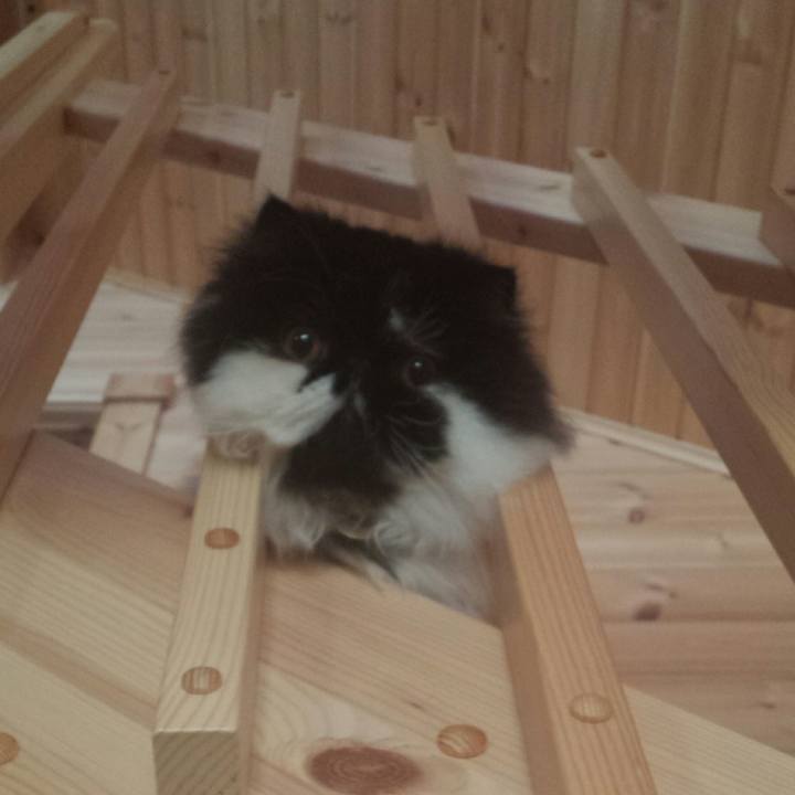 35502fa5 4830 4efe a445 234a46771b9e