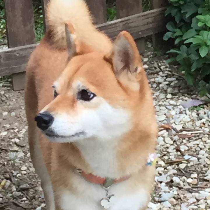 35508aba 225d 46f1 b266 a060e6b1c177