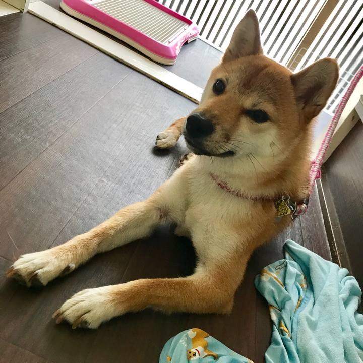 3550b8fb fef7 433e bef3 b8b451ffe7e1