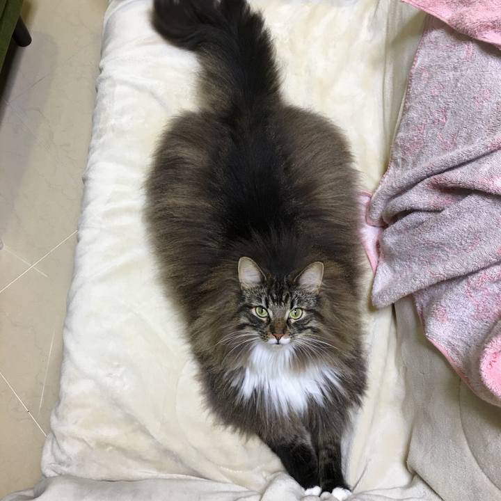 3551459a 504a 423b ae61 824f6545c3d9