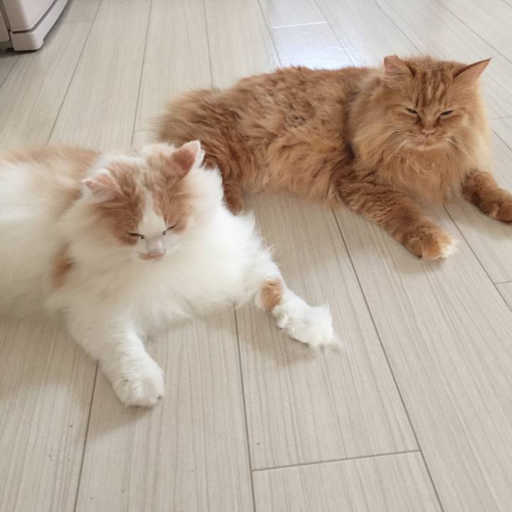 35519215 bb7f 4ca9 8c56 a9d55e03f906