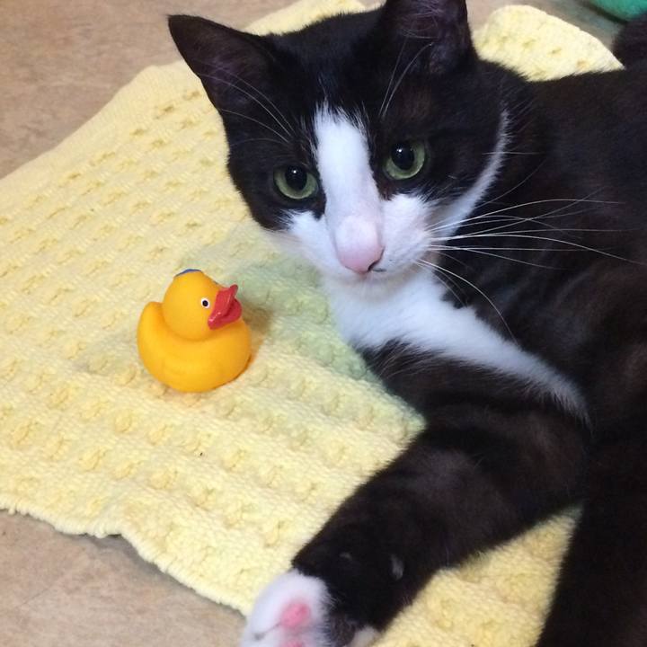 3551b2c4 e518 4c01 b409 893cac656b84