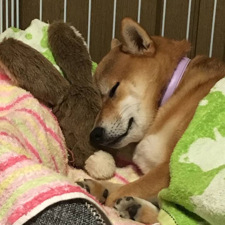 3551b8c4 bc5e 4a2e 9371 00414cf85a22