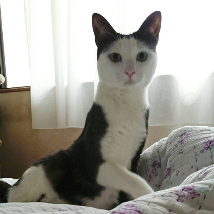 355222fa 40f6 4184 a146 29086f8212ef