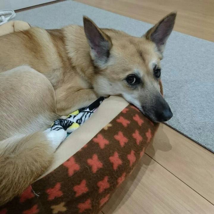 35527d2a 92cb 4e24 9f48 72069d1c8590