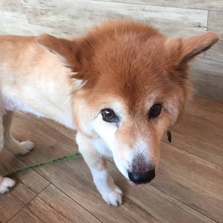 35531547 3e45 4c77 85da 26a5aeda90e3