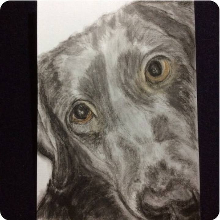 3553724c 3753 48a9 9879 eb1adf96c9e6