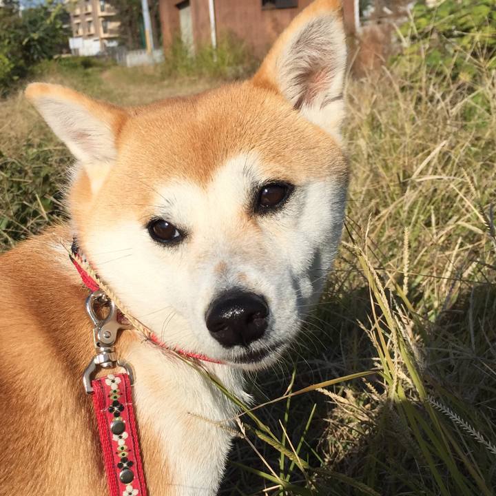 35548d85 edb1 486f b5b9 6ff73468bfbb