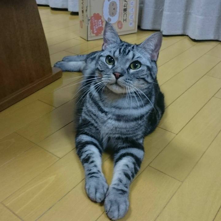 3554c535 dd62 4611 94f2 626d4978d594