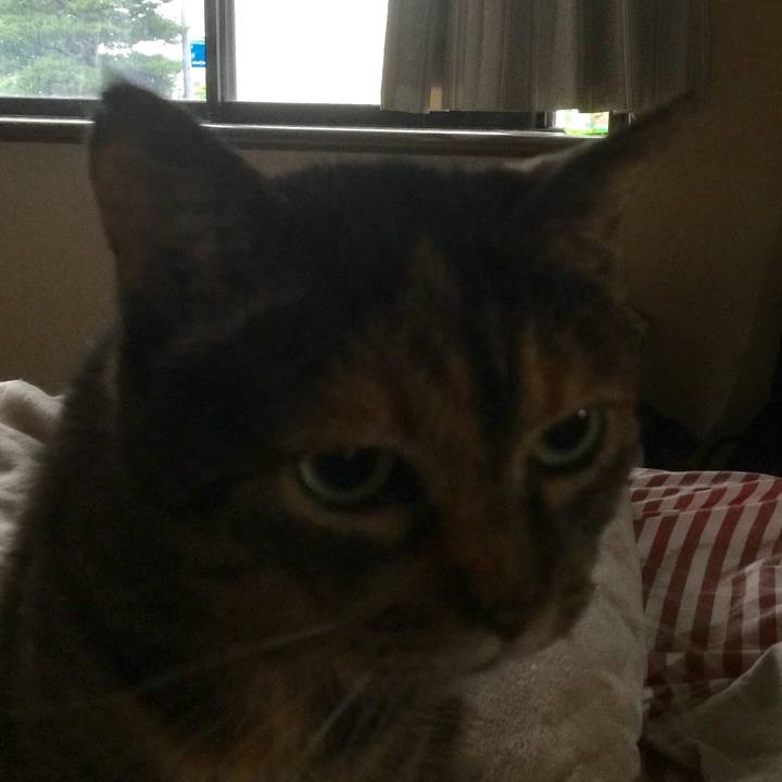 3556114a 9962 490c 8473 cdf483f09d2b