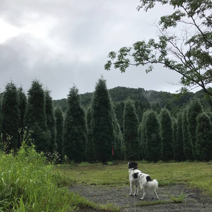 3556d71b 4852 4a4e 80d8 f08fea2fa377