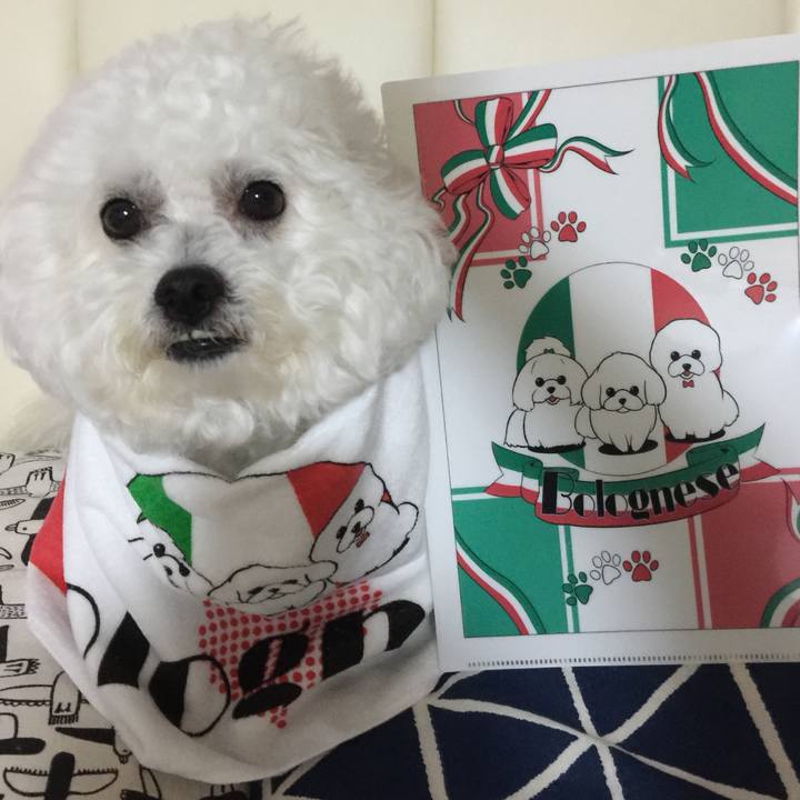 3556d9e6 dbfd 4f7a a021 3cb05b921514