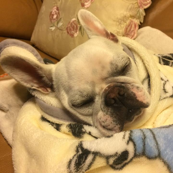 35575cb1 41ff 404a 984d 5a85fefae831