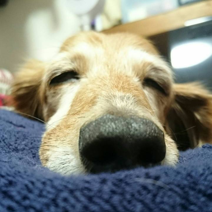 3557685c 61d0 4f18 966f 1d0311bbb868