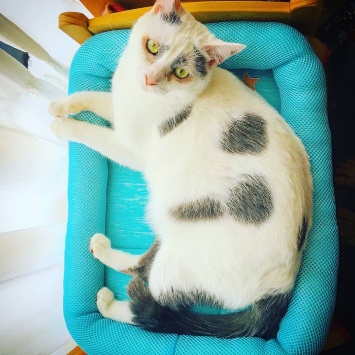 3557a7bb a7fe 46e9 83b4 ee1d0c5be00e