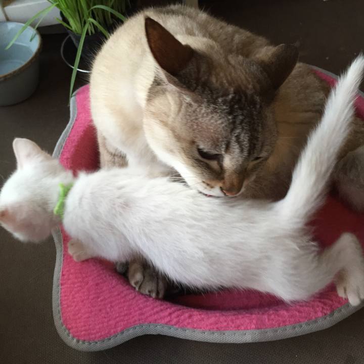 3558a89e fa59 4038 8947 5d2a325446e9