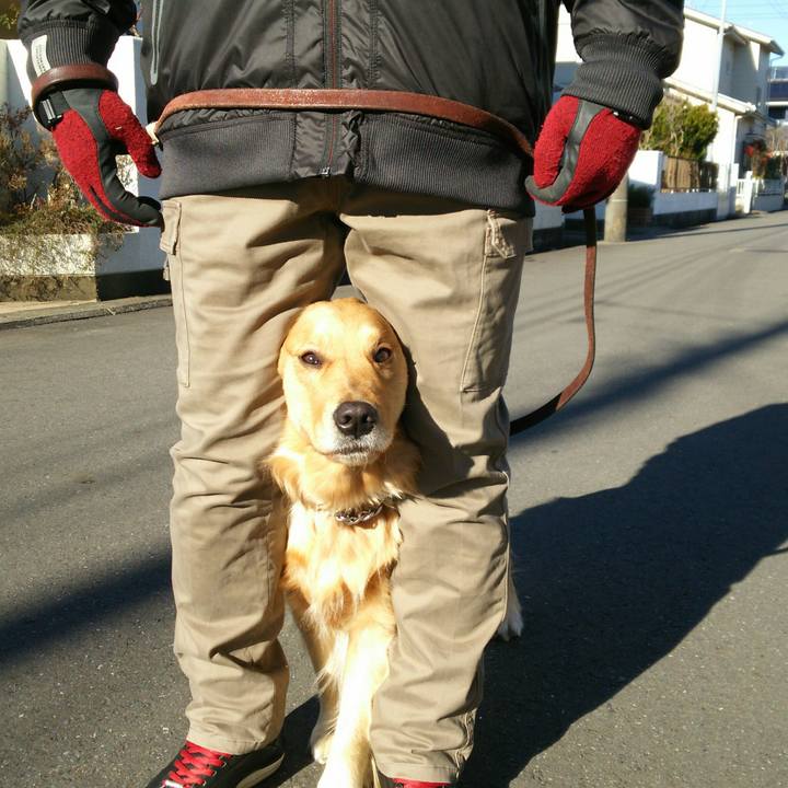 3558bc05 261a 4491 a132 8a28a7dbc5fa