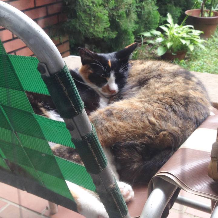 35593799 3317 427e 8c58 821279f55a89