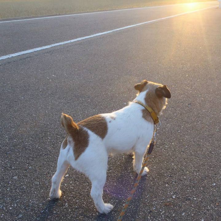 355992b9 3406 48b0 8cce 390ccb95ef44