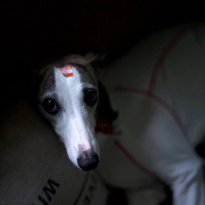 3559954c b493 4c67 9e63 e4c78a56d9eb