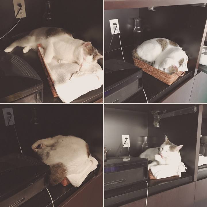 3559d989 3f2a 45c0 b59d 3ab873df3e5b