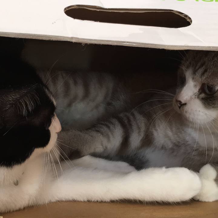 355a6861 e214 4c0f b5fe 685e25699bb8