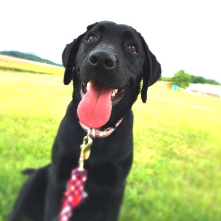 355ad782 914e 45d4 a9e4 5d0c853f70b3