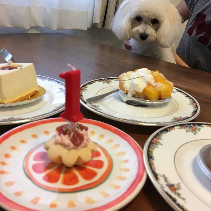 355b5033 2d36 46ee 8a93 27c034248912