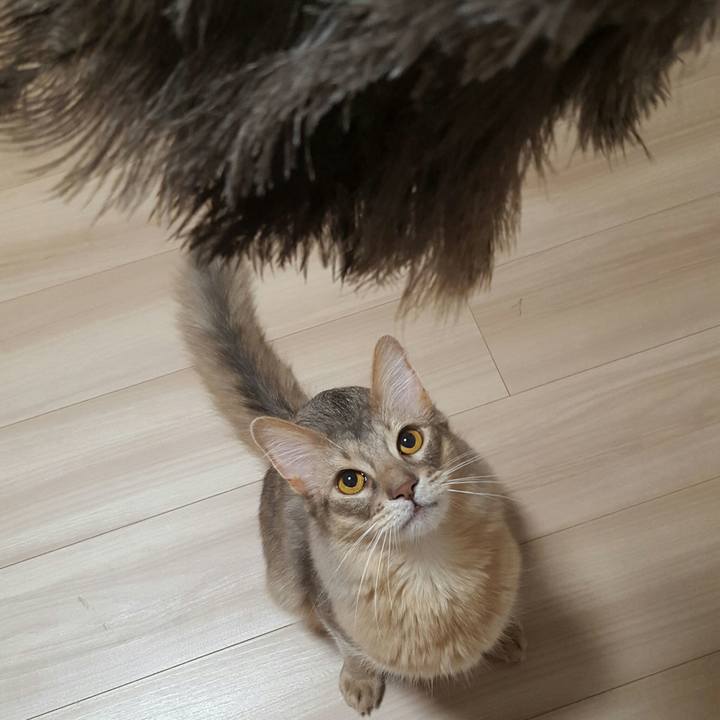 355b82cc 0b3b 4486 951d 4c52ff8007a8