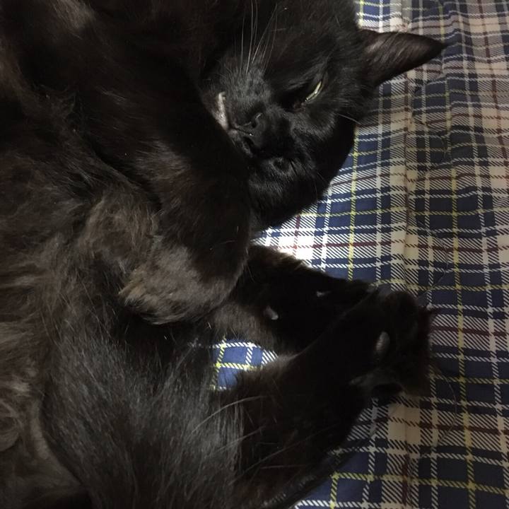 355be2d5 22e7 47e2 acd6 cd76f5a5d66f