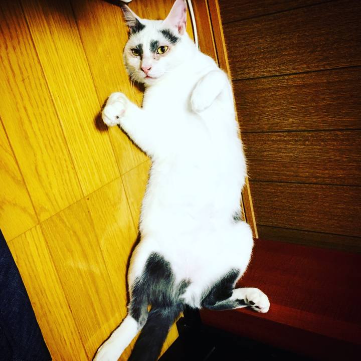 355c4eaa d21b 40f4 b325 d840d7ae258e