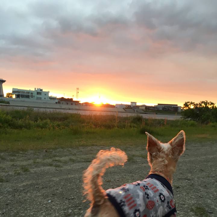 355c5eaf dd2e 4975 b492 37b89c7d7fa3