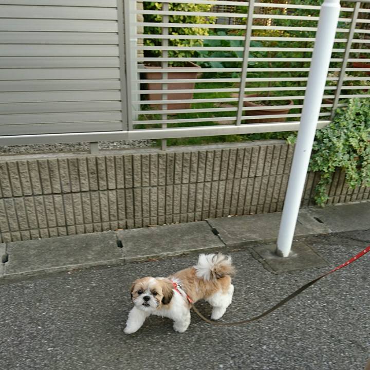 355ca05b a02d 4706 9588 512df202d18a