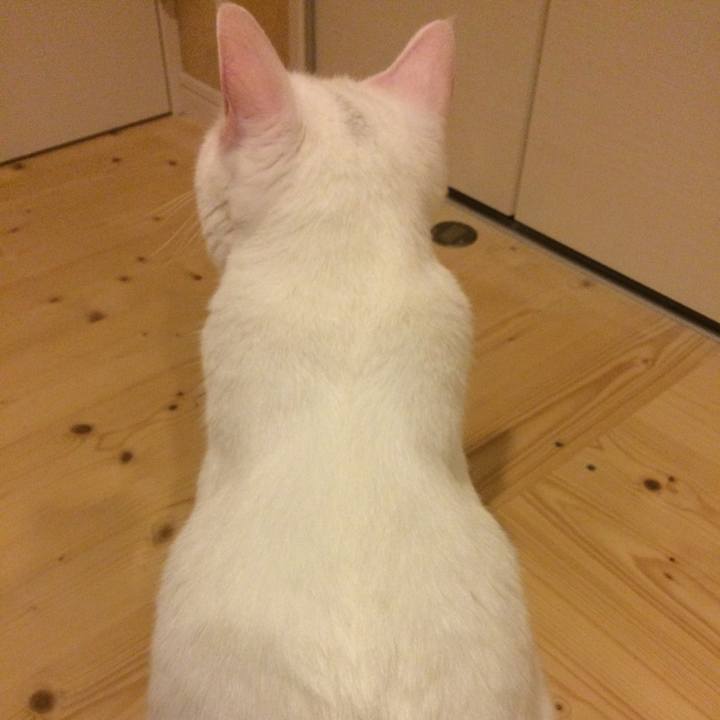 355cb623 246d 488e 908b d82b30018e57