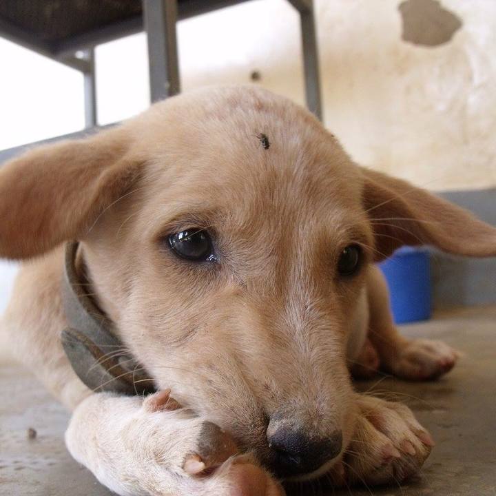 355e5d0e 569c 4c05 8f31 952ed3ef5edf