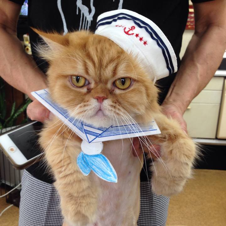 355f1590 797a 4d33 8e88 de46964084fb