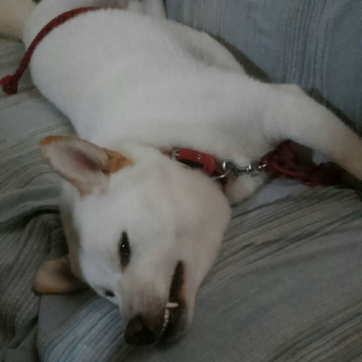 355fcd55 67d7 4aeb 9972 5cb31f8b3d52