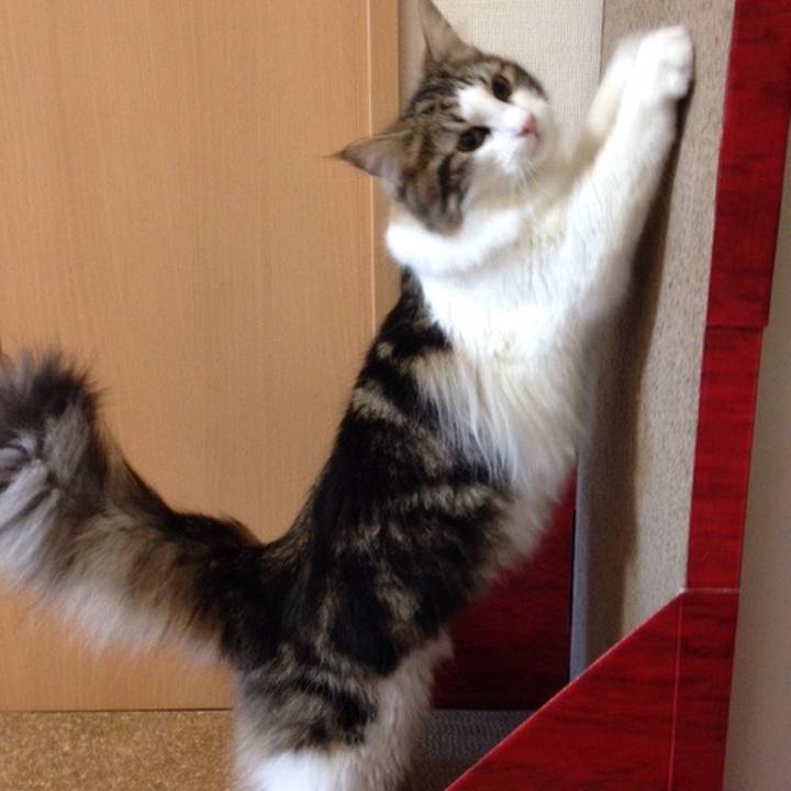 356048a5 1948 4b88 96a9 aea5faf293fa