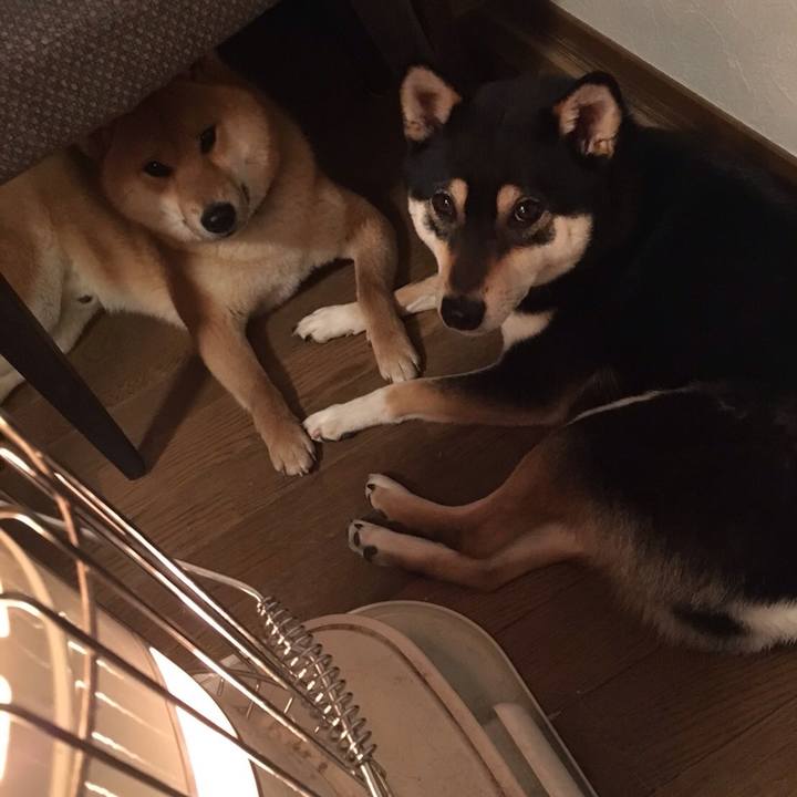 3560a923 79ad 400c b287 3fc4f8c1920a