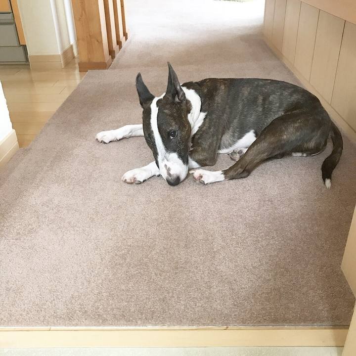 3560ee48 7c5e 4ef5 bfa6 0d2f41832814