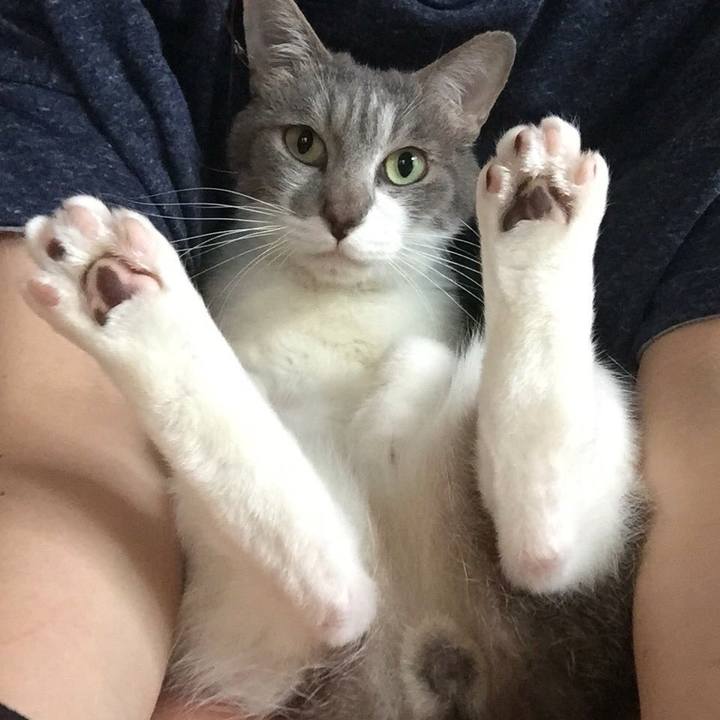 356117f0 e7a0 4948 851a b67d2ac73fba